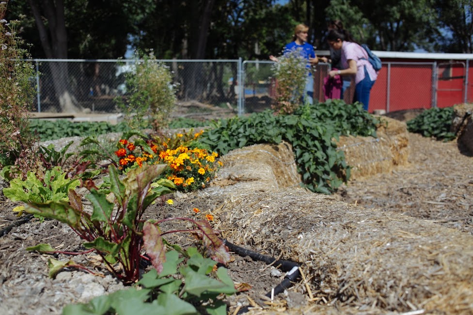 garden, hoogaculture, hay bails