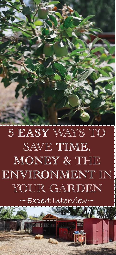 Learn five innovative, sustainable, time and money saving ideas you should be implementing in your garden right now from permaculture expert Karen Snook.