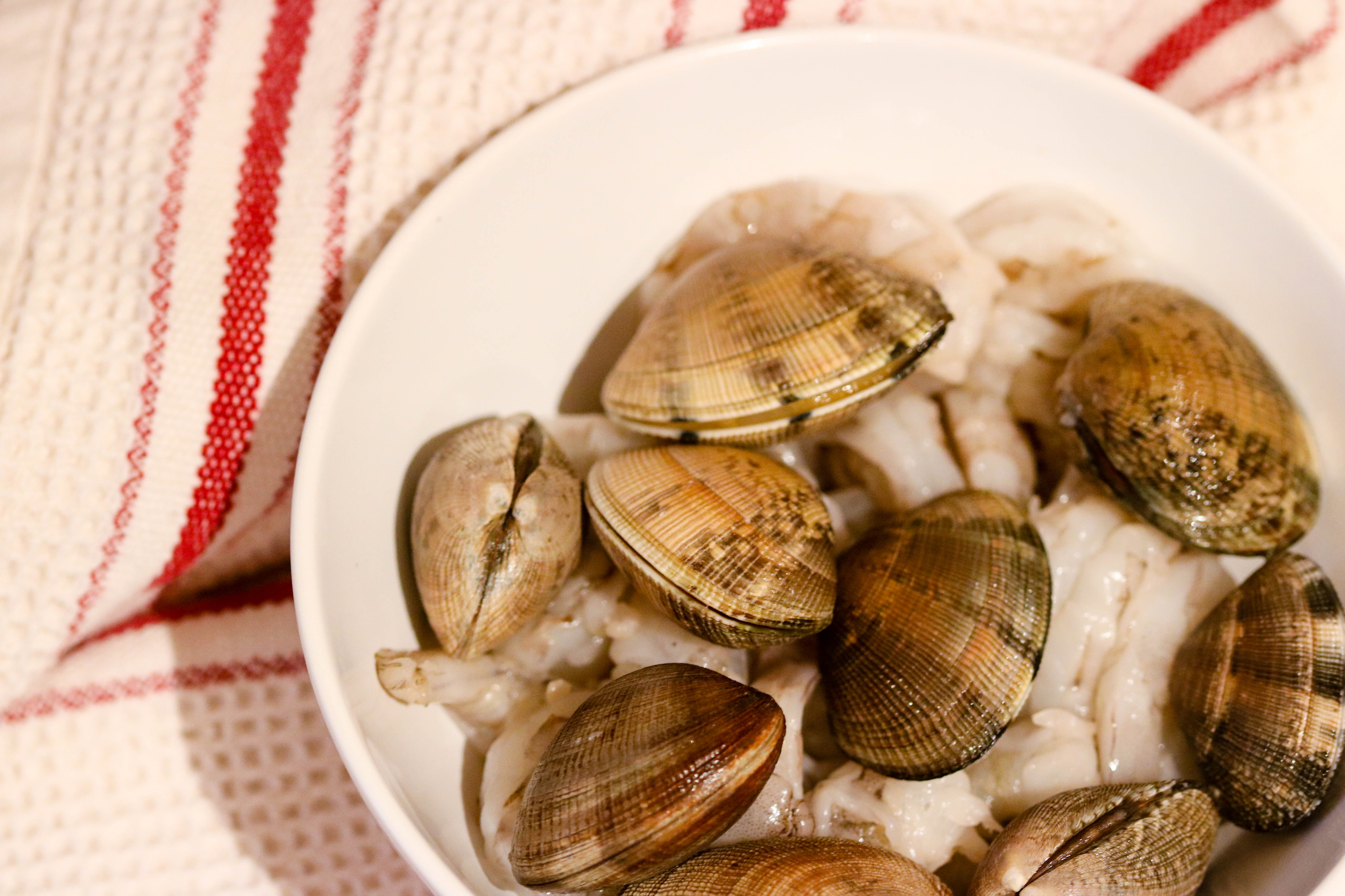seafood pasta, clams