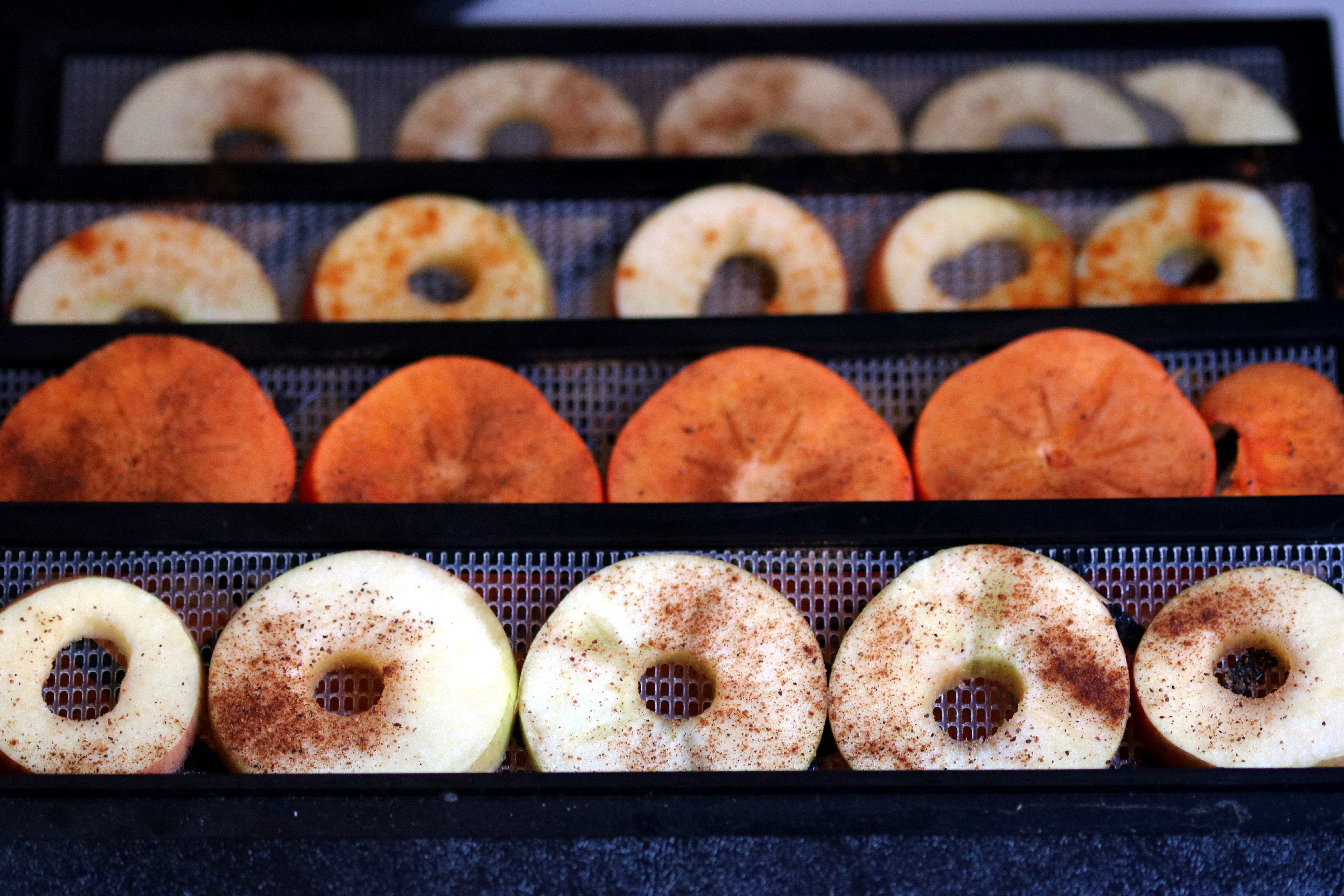 These persimmons and apples are about the get dehydrated for 8 hours and come out looking like royalty! Super easy, hands off recipe perfect for an on-the-go snack or entertainment. The full dried fruit rings recipe is on zeh blog.