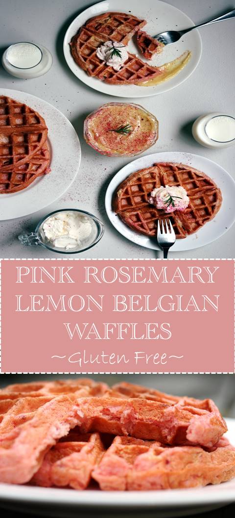 Pink rosemary and lemon Belgian waffles are the perfect way to impress while hosting brunch or whip them up for a holiday like Easter or Valentine's Day!