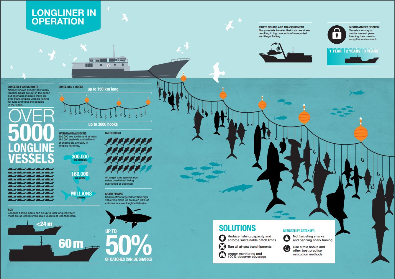 Longlines are not a sustainable fishing method and result in large amounts of bycatch