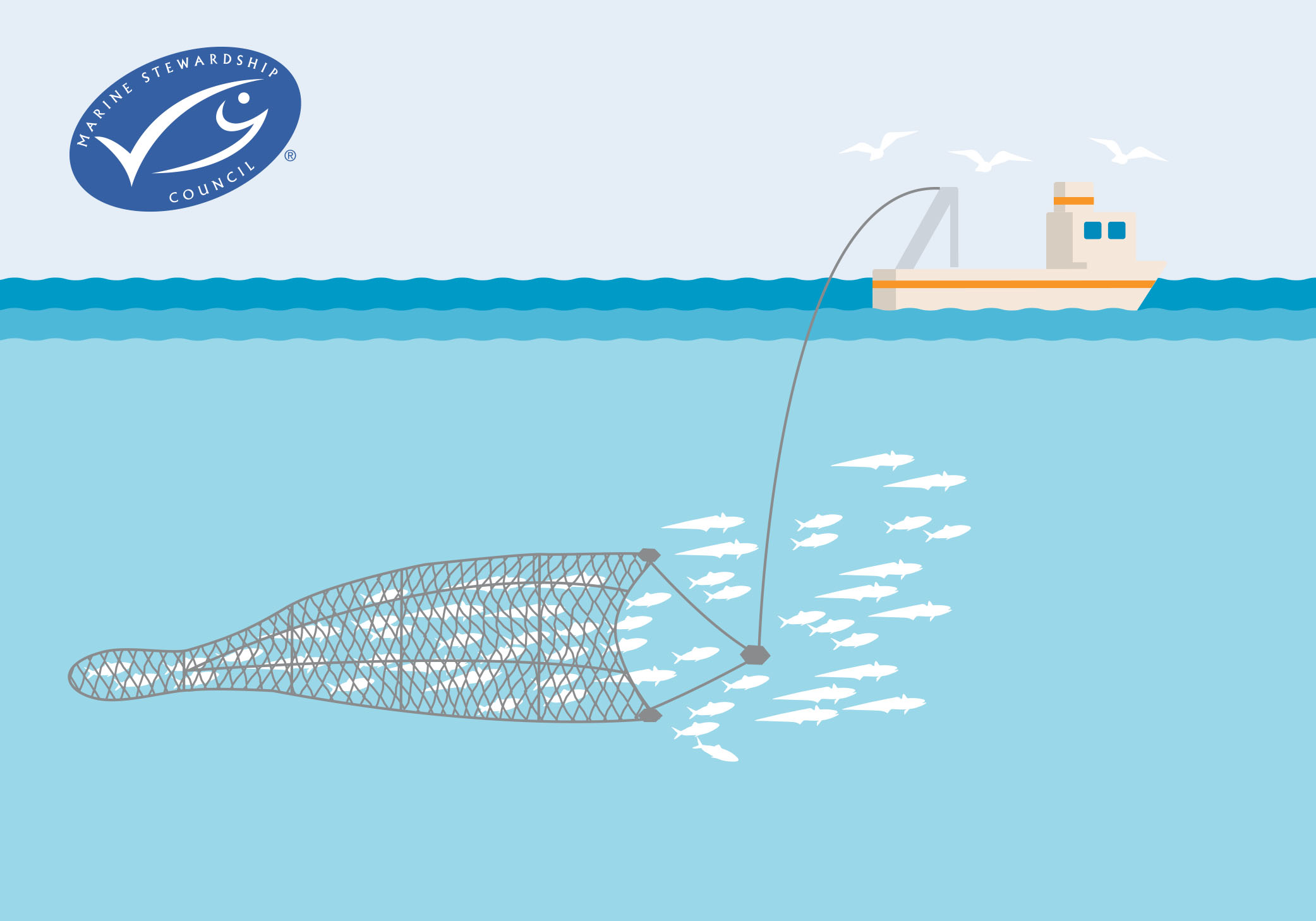 Purse Seine Fishing: Different Methods - International Seafood  Sustainability Foundation